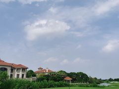 -棕榈滩海景高尔夫俱乐部