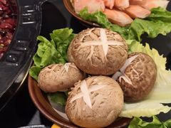 -老酉火锅(阳明古镇店)