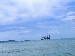 -广东惠东海龟国家级自然保护区