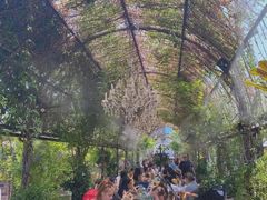 -The Grounds of Alexandria