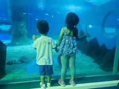 -北戴河圣蓝海洋公园