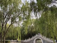 -洛阳市隋唐城遗址植物园