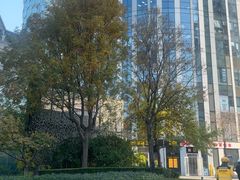 -北京三里屯CHAO酒店