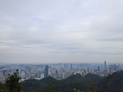 -黔灵山公园