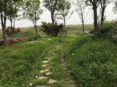 -同里国家湿地公园