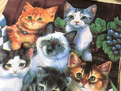 -李小姐の猫咖啡馆(五角场店)