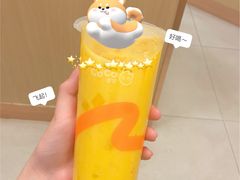 -CoCo都可(开发区梦乐城店)