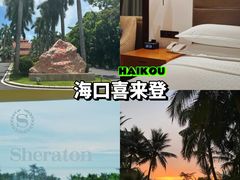 -海口喜来登酒店