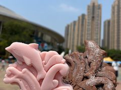 -海合安成都极地海洋公园