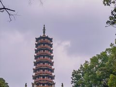 -大雁山风景区