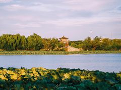 -颐和园