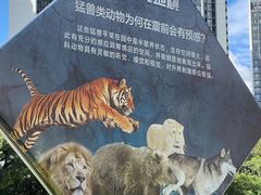 -深圳野生动物园