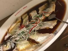 -丹江渔村(望京店)