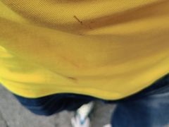 -杨记乳扇·雕梅