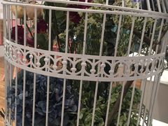 景观位-随心小姐