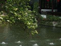 -绮园景区