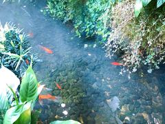 -颐而康·按摩·艾灸·足疗(汽车东站店)