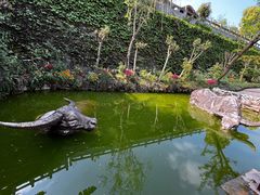 -燊海井