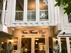 -Fern Forest Cafe