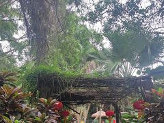 -海南热带野生动植物园