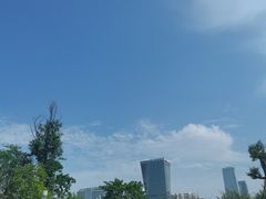 -桂溪生态公园