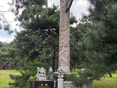 -北陵公园