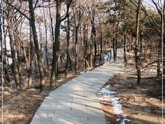 -沂蒙山旅游区云蒙景区(蒙山国家森林公园)