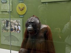 -国家自然博物馆