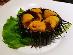 海胆-海味当家(西安路店)