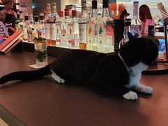 -星巴克臻选(上海合生汇1F店)