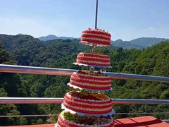 -九龙江国家森林公园