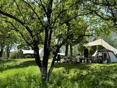 -白鹭湾湿地公园