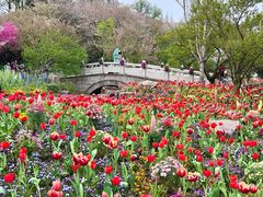 -苏州上方山国家森林公园