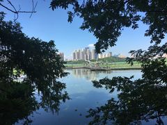 -月湖风景区
