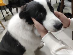 -上海潜殿潜水中心