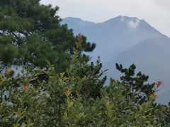 -含鄱口