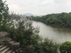 -杭州湾海上花田景区