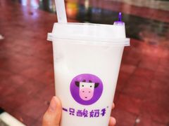 -一只酸奶牛(八一路店)