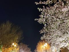 -民园广场