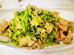 凉拌豆苗面筋-伊祥·敦煌楼