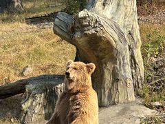 -宁波野生动物园