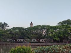 -江心屿景区