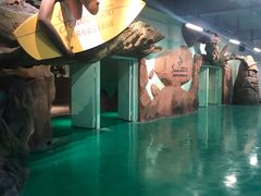 -杭州开元森泊度假乐园