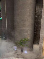 点击看大图 -美壹生皮肤管理中心