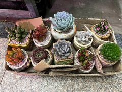 -李村大集