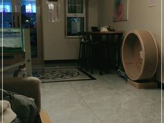 -有猫儿腻咖啡厅.猫咖