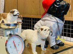 -Juicy Bakery(大学路店)