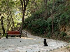 -大岭沟猕猴桃谷风景区