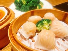 -珍宝轩海鲜火锅(碧湖大厦店)