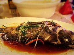 -上海安亭别墅花园酒店